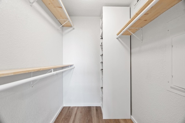 walk in closet featuring light wood-type flooring