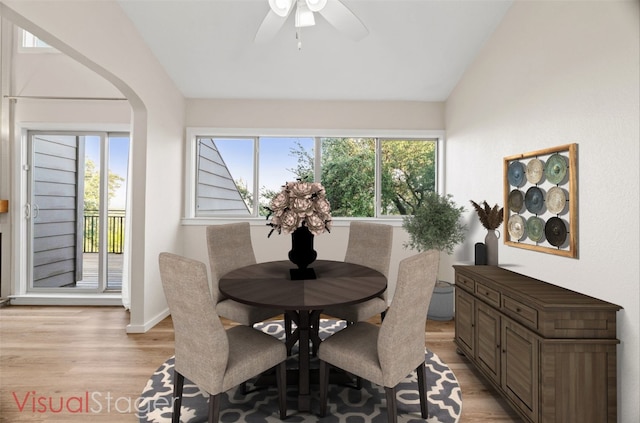 dining room with lofted ceiling, a healthy amount of sunlight, and light wood-type flooring