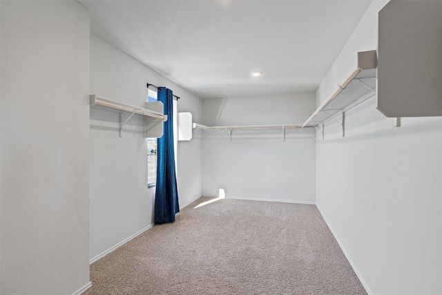 walk in closet with carpet floors