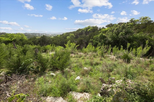 18700 Sugar Maple Dr, Lago Vista, TX 78645