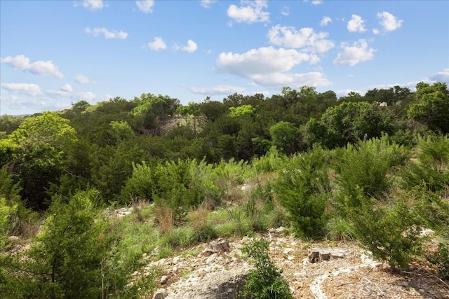 18700 Sugar Maple Dr, Lago Vista, TX 78645