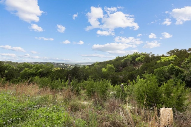 18700 Sugar Maple Dr, Lago Vista, TX 78645