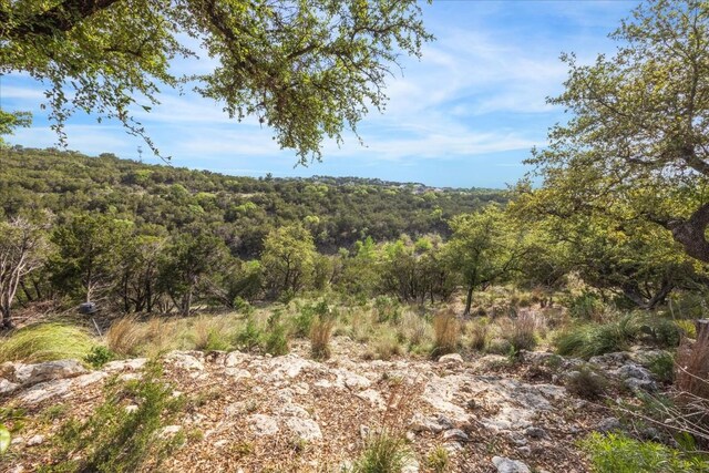 301 Westwater Ct, Lago Vista, TX 78645