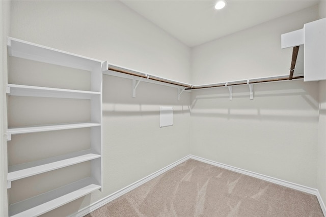 walk in closet with carpet