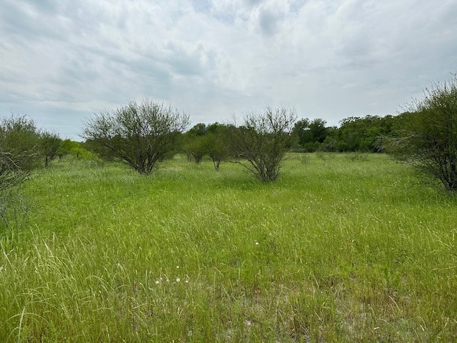 Listing photo 3 for 5105 Mach Rd, La Grange TX 78945