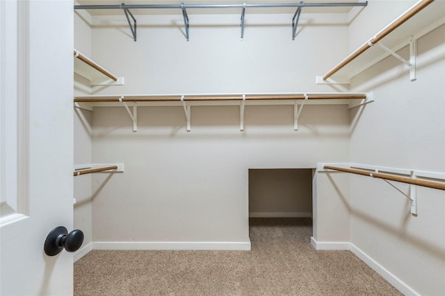 walk in closet featuring light carpet