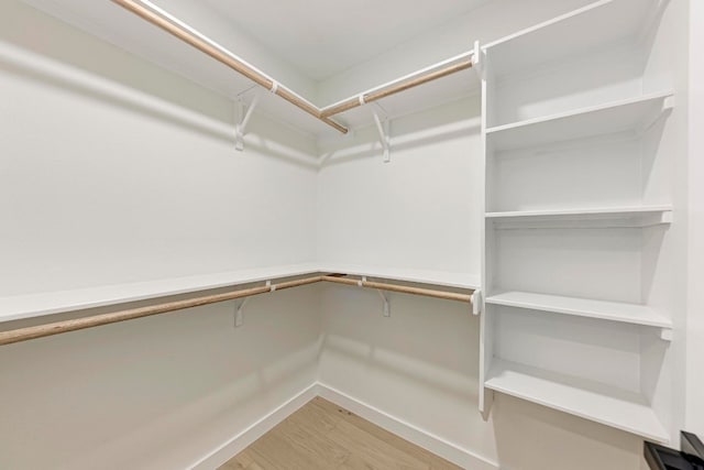 walk in closet with hardwood / wood-style flooring