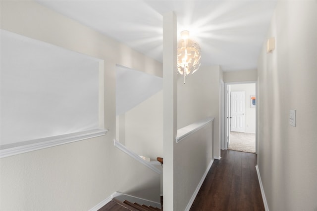 hallway featuring dark hardwood / wood-style floors