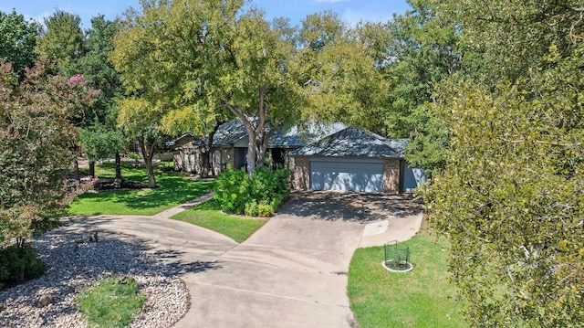 obstructed view of property with a front yard