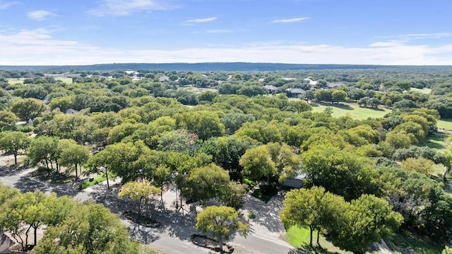 300 Delaware Springs Blvd, Burnet, TX 78611 - aerial view