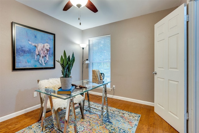 office featuring ceiling fan and wood-type flooring