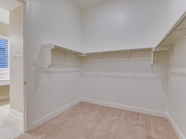 spacious closet featuring light carpet