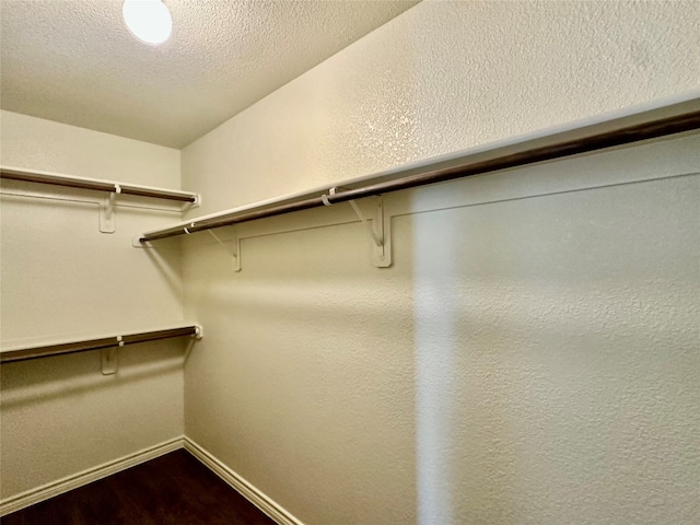 spacious closet with hardwood / wood-style floors