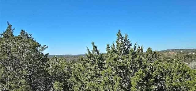 view of nature with a wooded view