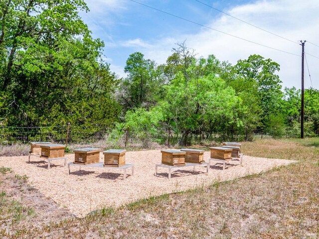 298 Jenkins Rd, Cedar Creek, TX 78612 - view of yard with a vegetable garden