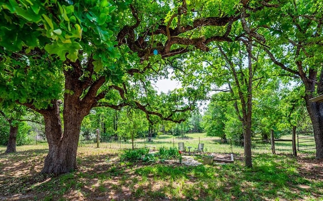 298 Jenkins Rd, Cedar Creek, TX 78612 - view of yard