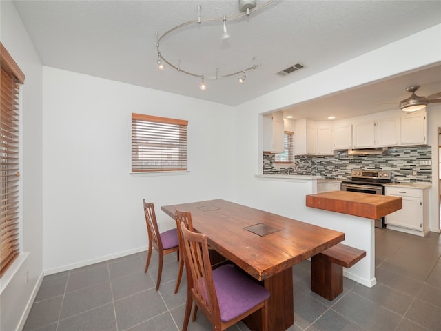 dining area with ceiling fan