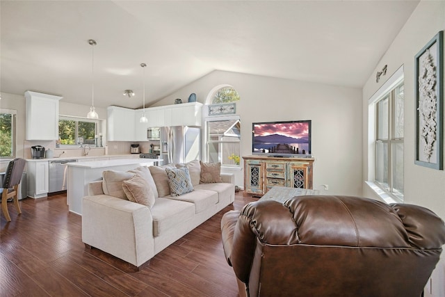 living room with sink, dark wood-type flooring, and vaulted ceiling