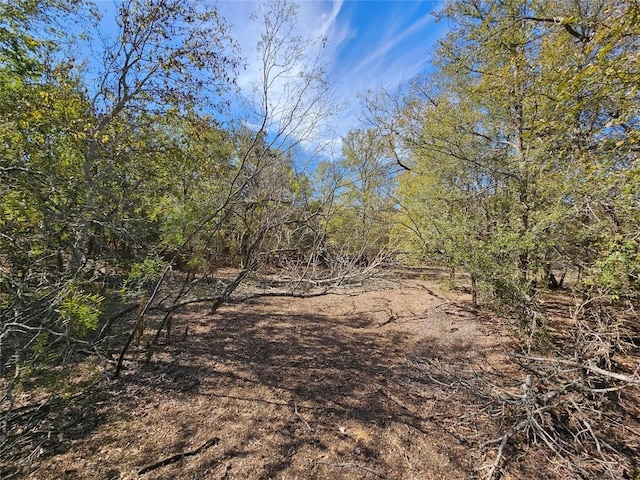 2364 Westwood Rd, Lockhart, TX 78644 - photo 23
