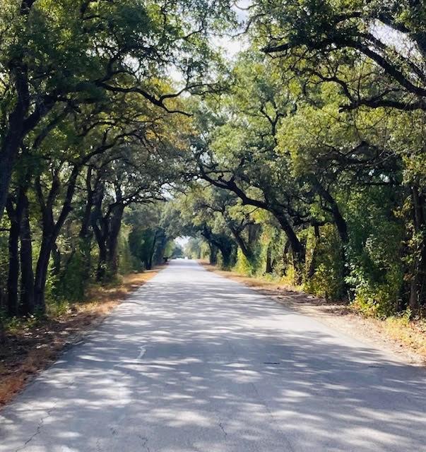 2364 Westwood Rd, Lockhart, TX 78644 - photo 4