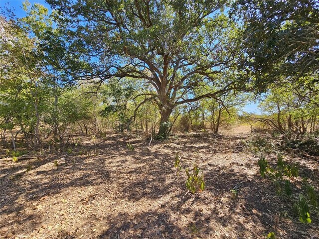 2364 Westwood Rd, Lockhart, TX 78644 - photo 5