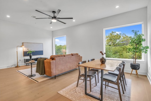 dining room with ceiling fan and light hardwood / wood-style flooring