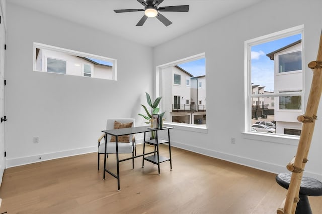 home office featuring hardwood / wood-style flooring and ceiling fan