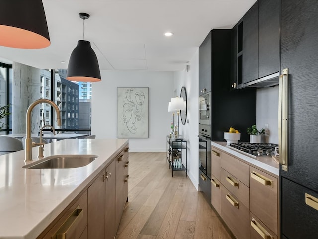 kitchen featuring sink, appliances with stainless steel finishes, pendant lighting, and light hardwood / wood-style floors