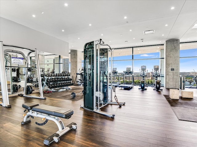 gym with wood-type flooring and expansive windows