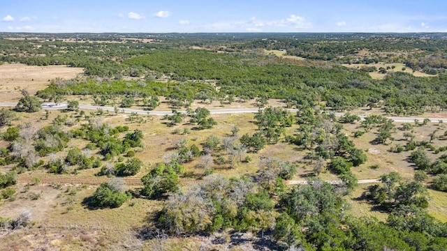 LOT18 W Fitzhugh Rd, Dripping Springs, TX 78620 - photo 7