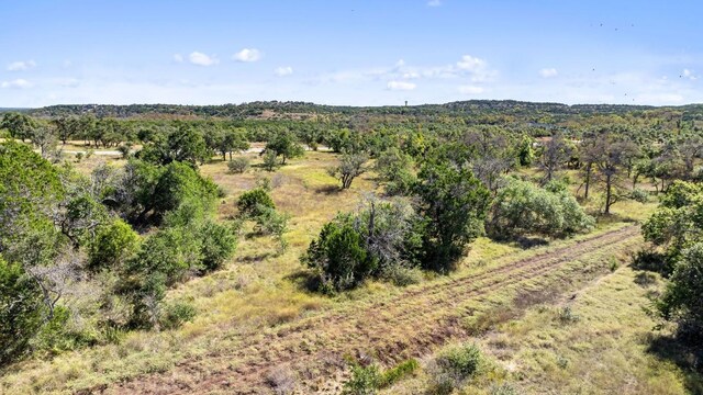 LOT18 W Fitzhugh Rd, Dripping Springs, TX 78620 - photo 8