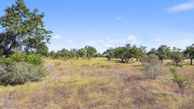 LOT18 W Fitzhugh Rd, Dripping Springs, TX 78620 - photo 9