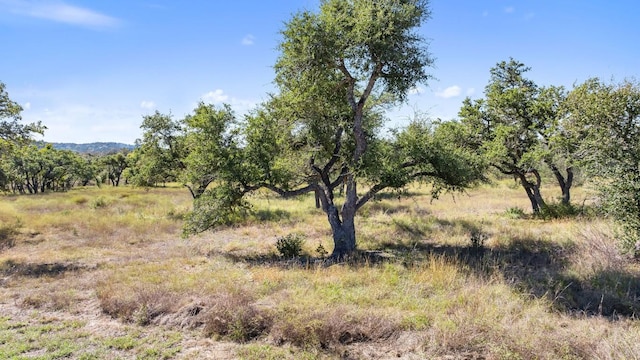 LOT18 W Fitzhugh Rd, Dripping Springs, TX 78620 - photo 11