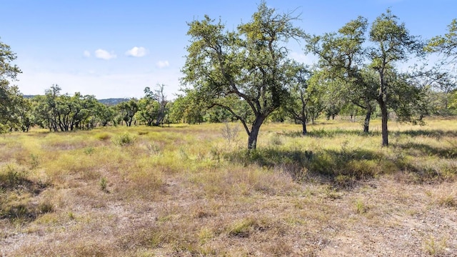 LOT18 W Fitzhugh Rd, Dripping Springs, TX 78620 - photo 12