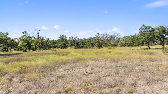 LOT18 W Fitzhugh Rd, Dripping Springs, TX 78620 - photo 13