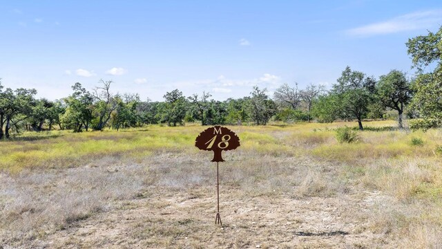 LOT18 W Fitzhugh Rd, Dripping Springs, TX 78620 - photo 14