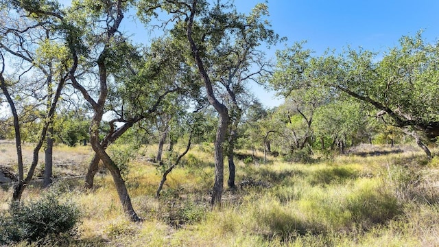 LOT18 W Fitzhugh Rd, Dripping Springs TX, 78620 land for sale