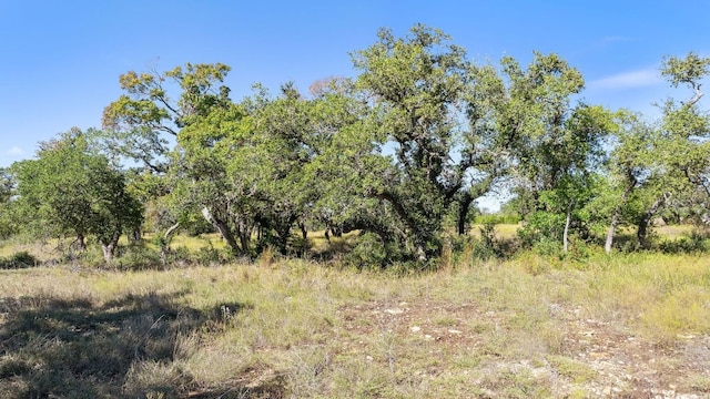 LOT18 W Fitzhugh Rd, Dripping Springs, TX 78620 - photo 17