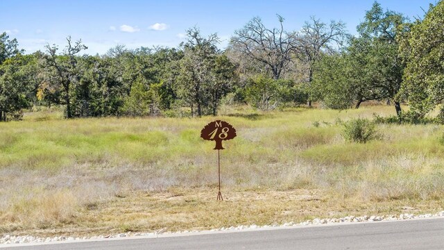 LOT18 W Fitzhugh Rd, Dripping Springs, TX 78620 - photo 23