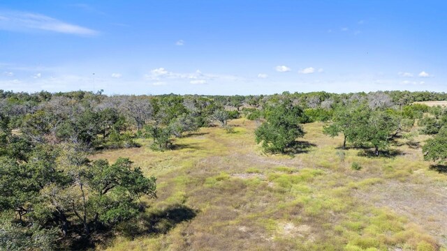 LOT18 W Fitzhugh Rd, Dripping Springs, TX 78620 - photo 18