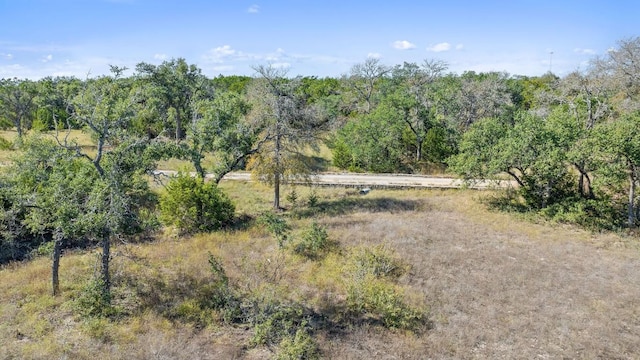 LOT18 W Fitzhugh Rd, Dripping Springs, TX 78620 - photo 19