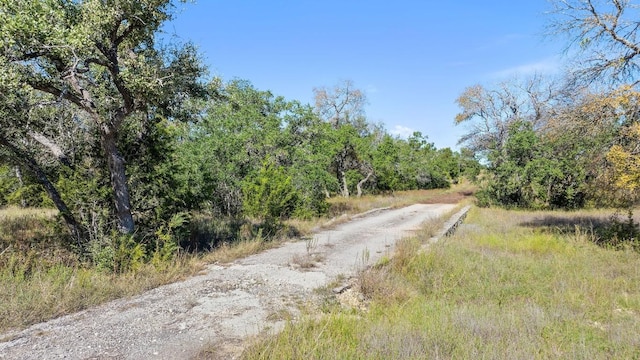 LOT18 W Fitzhugh Rd, Dripping Springs, TX 78620 - photo 20