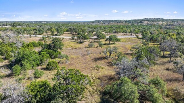 LOT18 W Fitzhugh Rd, Dripping Springs, TX 78620 - photo 21