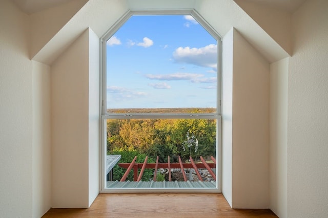 doorway with light hardwood / wood-style flooring