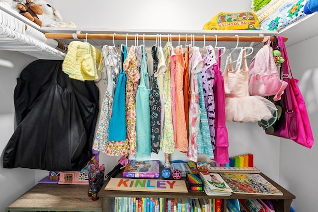 view of spacious closet