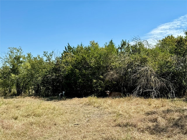 view of landscape with a rural view