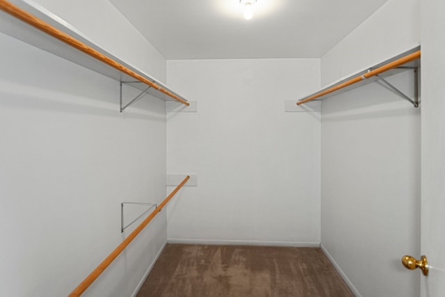 walk in closet featuring dark carpet