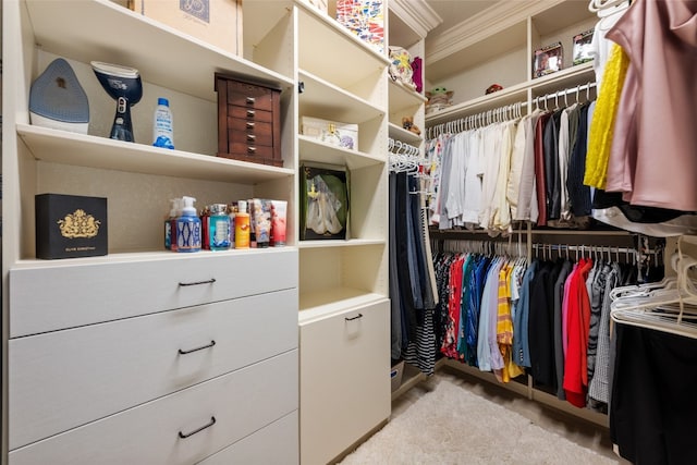 walk in closet with light colored carpet