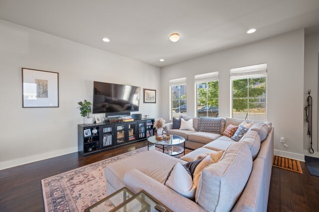 living room featuring dark hardwood / wood-style floors