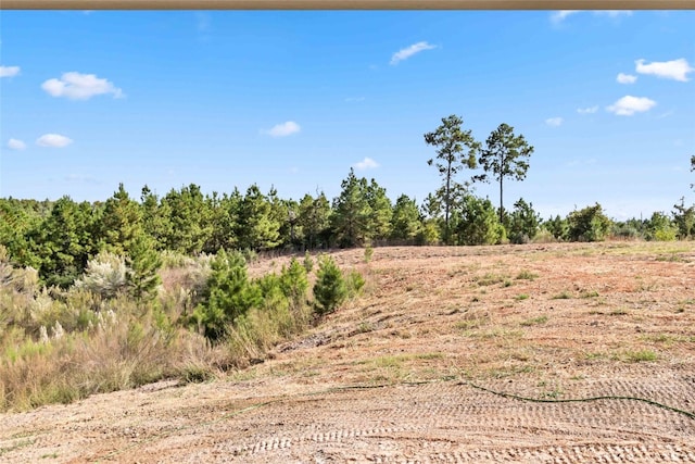 view of local wilderness featuring a rural view